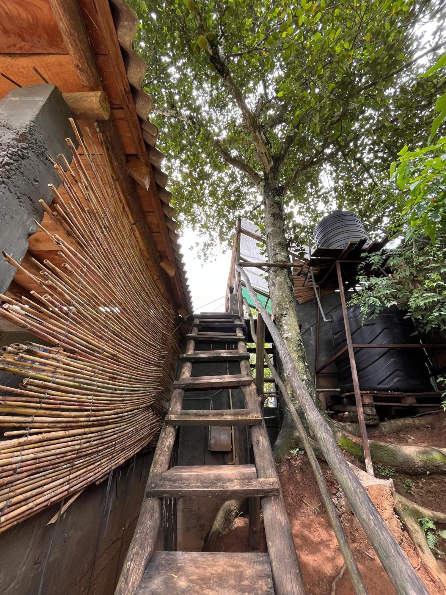 Backpackers Hostel Элла Экстерьер фото